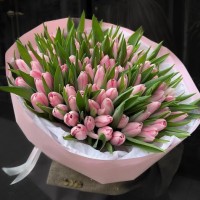 101 розовый тюльпан