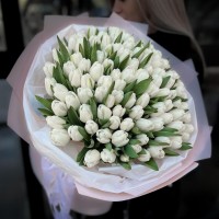 101 белый тюльпан