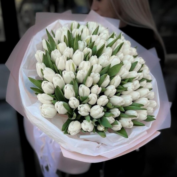 101 белый тюльпан