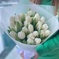 21 белый тюльпан