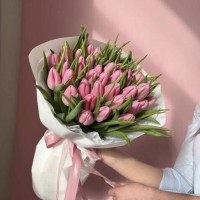 31 розовый тюльпан