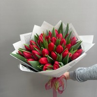 31 красный тюльпан