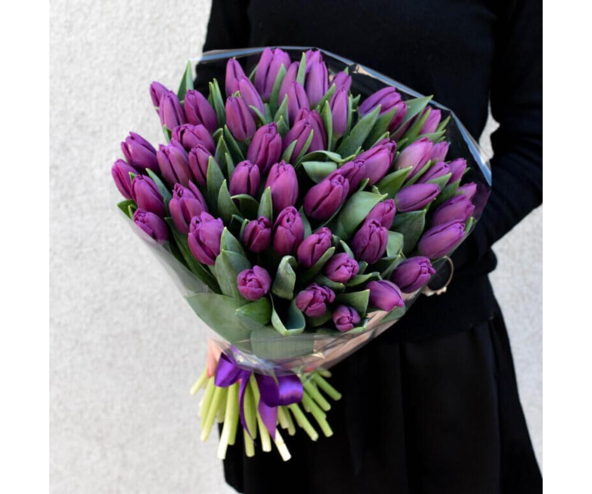 51 фиолетовый тюльпан