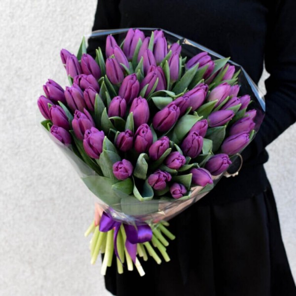 51 фиолетовый тюльпан