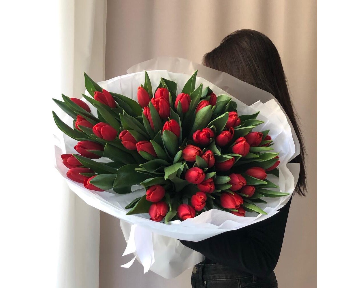 51 красный тюльпан