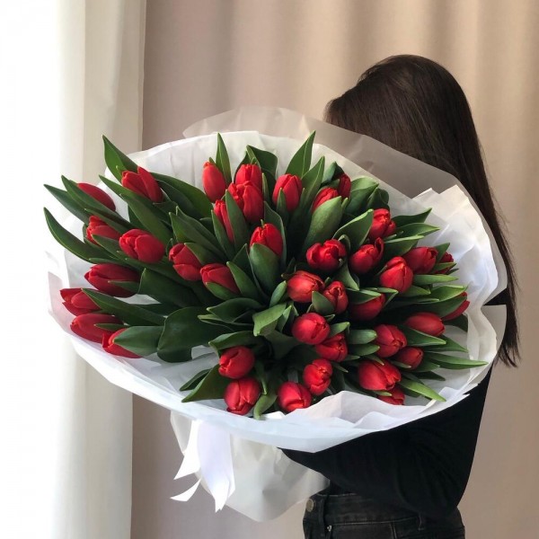 51 красный тюльпан