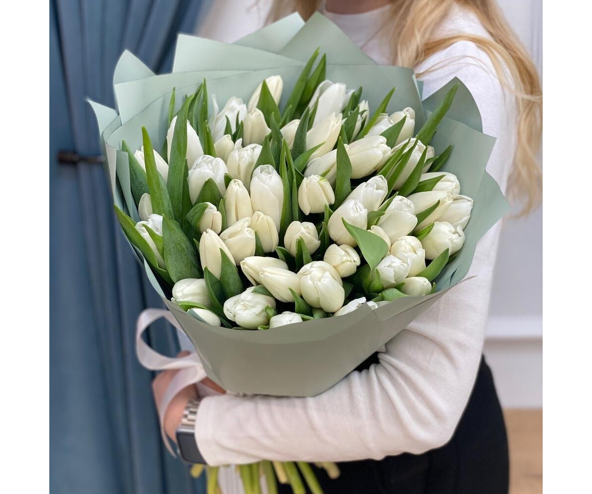 51 белый тюльпан