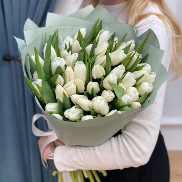 51 белый тюльпан