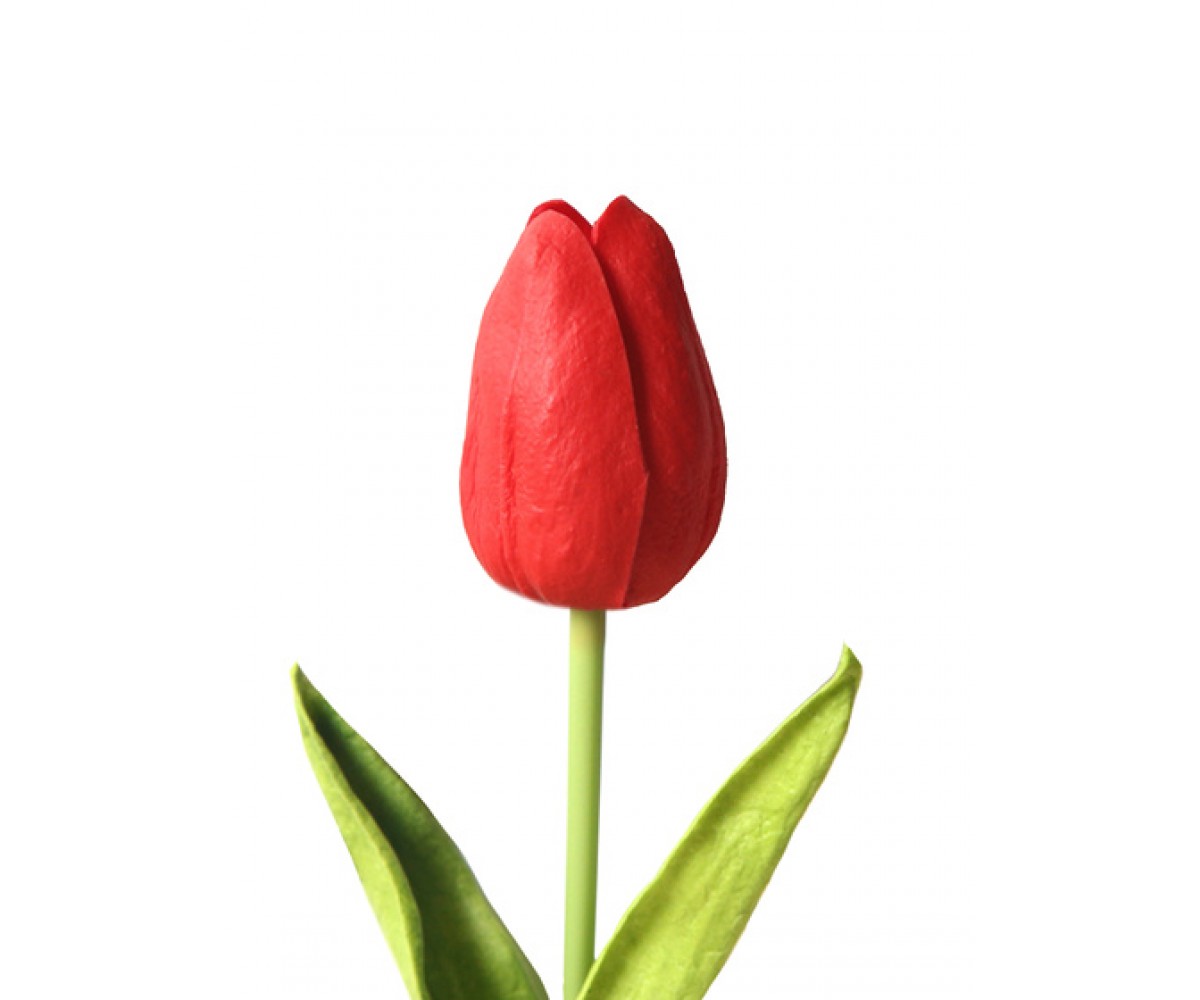 Тюльпан красный 